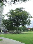DSCF0524