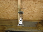 Bird feeder