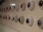 DSCF0924