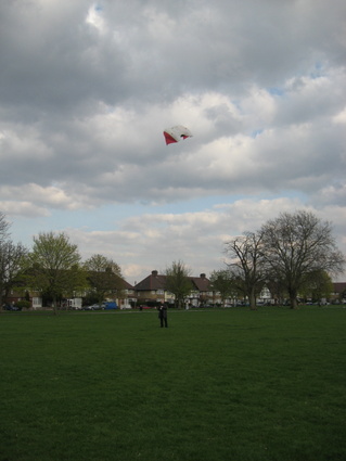 kite