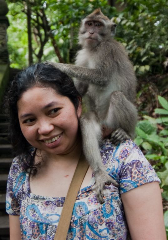 Monkey-33
