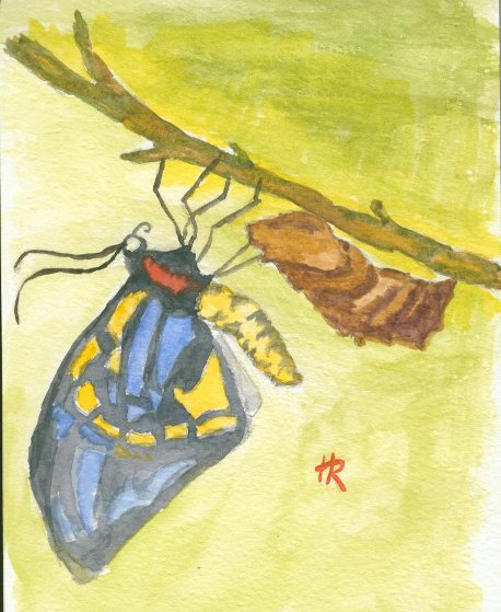 Unfold (Watercolour)