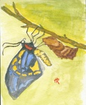 Unfold (Watercolour)