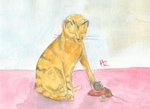 Worn - Cat and toy mouse (watercolour)