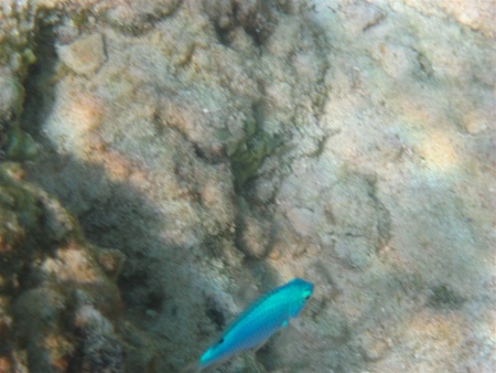 Underwater-Gili-5