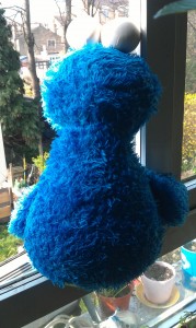 Cookie Monster at the window