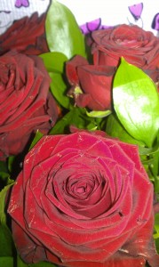 roses